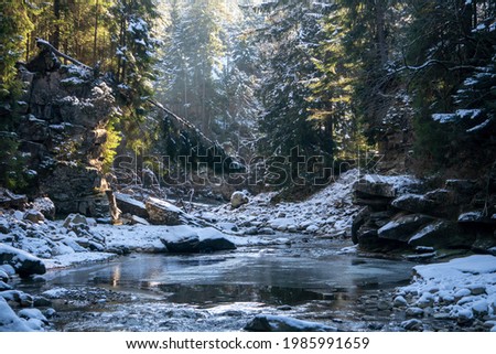 Similar – Image, Stock Photo frozen river and frozen bulrush