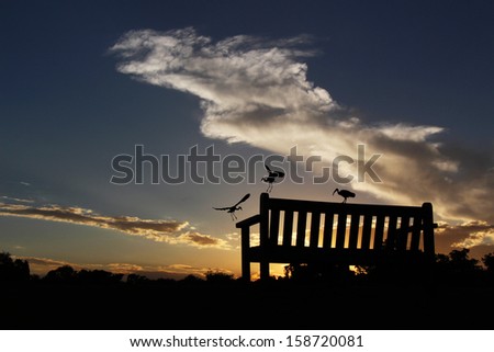 Park Bench Silhouetted Against a Cloudy Sky at Sunset with three Birds