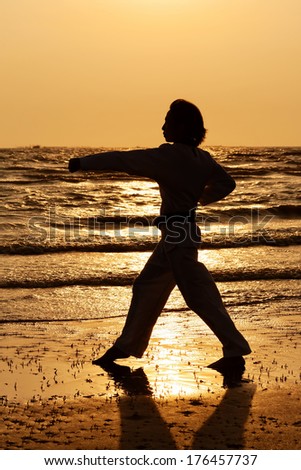 Martial arts man training taekwondo in silhouette