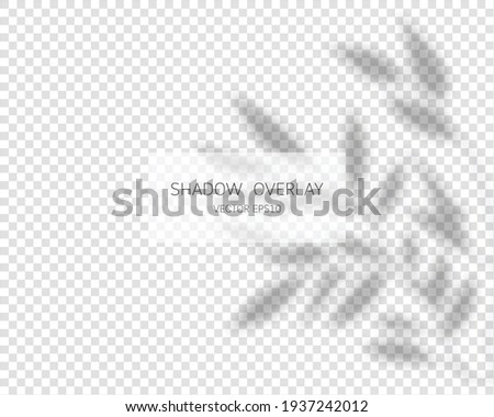 Shadow overlay effect. Natural shadows isolated on transparent background. Vector illustration. 