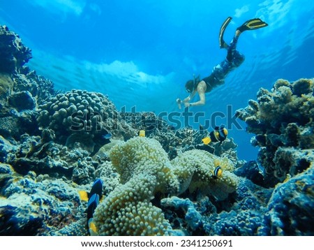 Similar – Image, Stock Photo Girl dives in the pool, in the blue water.