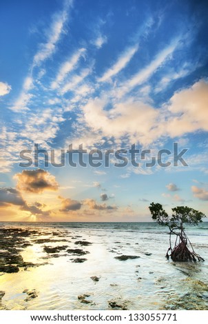 One of the reef Florida Keys islands at sunrise. Florida Keys, USA.