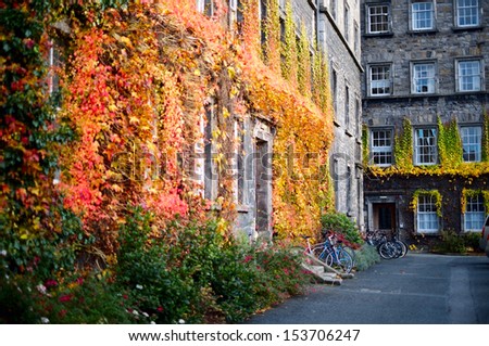 Autumn at the Trinity college, Dublin, Ireland.