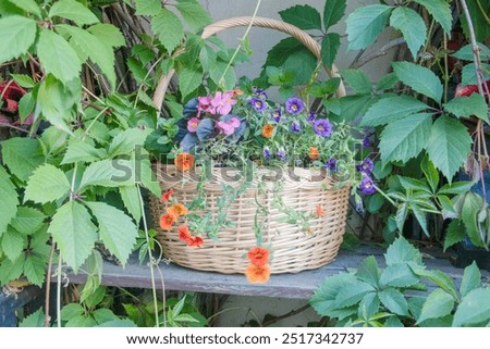 Similar – Image, Stock Photo Old basket on a cloudy day. View from above