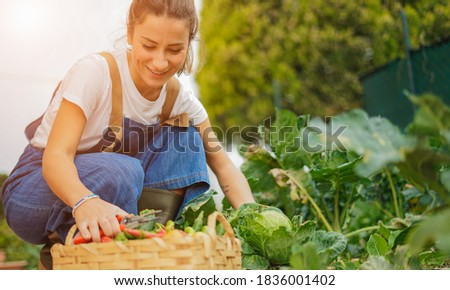 Young girl taking care of her vegetable garden - Concept of new organic business  Photo stock © 