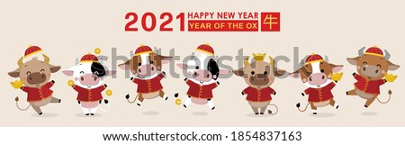 Happy Chinese new year greeting card. 2021 Ox zodiac. Cute cow in red costume and gold money. Animal holidays cartoon character. Translate: Ox. -Vector