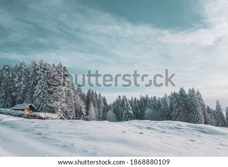 Similar – Image, Stock Photo Fir forest in snow