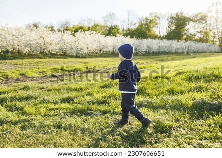 Image, Stock Photo Cheerful boy running through park