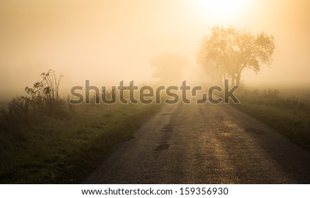 Crashed road at the golden misty dawn