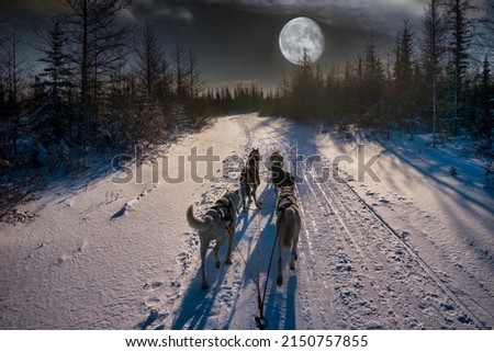 Similar – Image, Stock Photo Husky sledding over a frozen lake at sunset