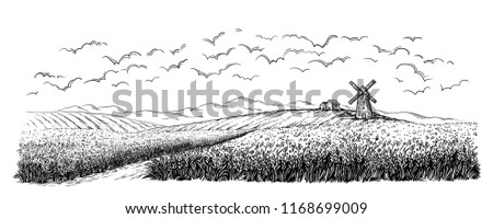 rural field with ripe wheat on background of mill, village and clouds. vector illustration