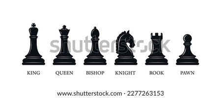 Chess piece icons with name- Black silhouettes isolated on white background 
