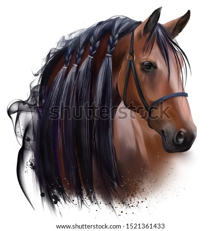 The horse's head. Watercolor drawing Сток-фото © 