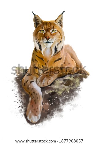 The eurasian lynx lies on a rock. Watercolor illustration