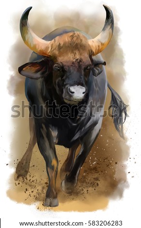 Bull watercolor painting