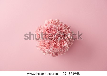 Similar – Image, Stock Photo Floral arrangments of tender ranunculus flowers