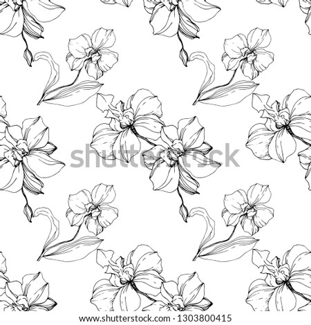 Vector Orcid floral botanical flower. Wild spring leaf wildflower isolated. Black and white engraved ink art. Seamless background pattern. Fabric wallpaper print texture.