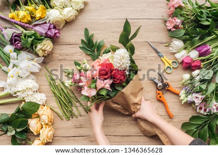 Image, Stock Photo Crop woman with hyacinth seedling in pot