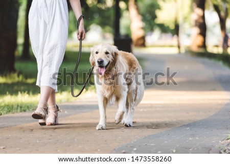Similar – Image, Stock Photo Crop woman with dog resting at home