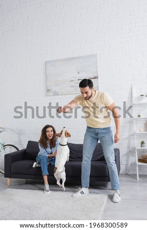 Similar – Image, Stock Photo Dog from above boyfriend