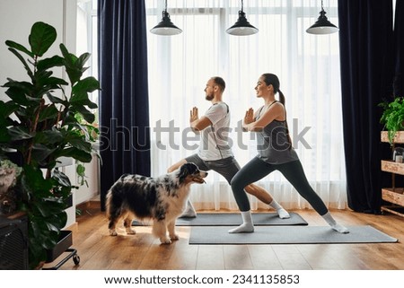 Similar – Foto Bild Yoga zu Hause am Laptop