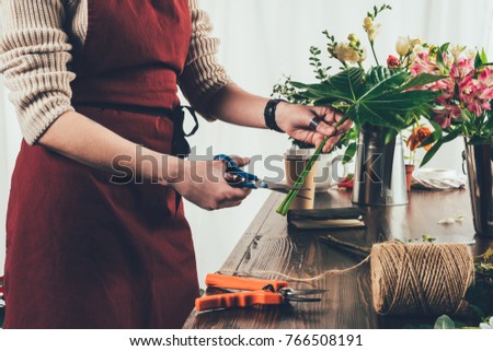 Similar – Image, Stock Photo Crop woman planting flowers in pot at table