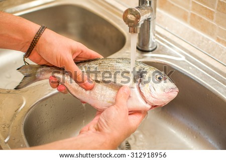 hands washing  fish food raw gilthead kitchen sink flowing water