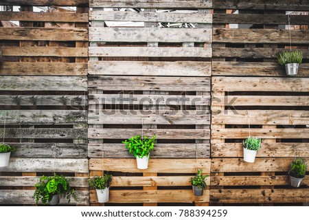Grunge Texture Copy Space Green Thumb Pallets Wooden Background 788394259 Grunge Texture Copy Space Green Thumb Pallets Wooden Background 788394259