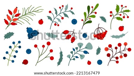 Winter autumn berry plant leaf branch sprout fruit colorful flat set. Holly wild rose viburnum blueberry sea buckthorn lingonberry cranberry. Floral element festive decor card sticker print isolated
