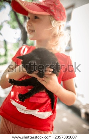 Similar – Image, Stock Photo Angry newborn tabby black and grey cat discovering new beauties in the garden in the taller grass and demanding attention. Roar. Sunset with a kitten. Vintage style