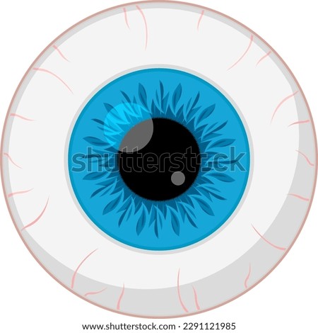 Human eye close-up on a white background. Eyeball