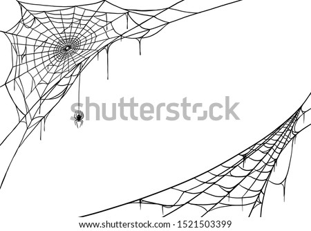 Spider web for cards and background for Halloween
