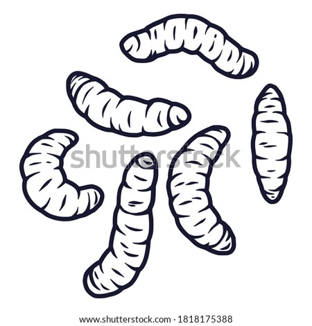 set of illustrations of maggots worms for halloween design. Scary insect larvae. October party banner, poster or postcard