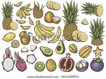 Colorful hand-drawn illustration of a vibrant assortment of exotic tropical fruits. Fruits or exotic eco elements for vegetarian menu. Organic nature ingredients for food market.