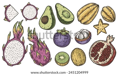 Colorful hand drawn exotic fruit collection illustration with a variety of tropical fruits. Fruits or exotic eco elements for vegetarian menu. Organic nature ingredients for food market.