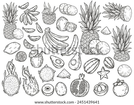 Diverse and exquisite hand-drawn collection of tropical fruits in black and white illustration, including pineapple, banana, lemon, pomegranate, avocado, kiwi, dragon fruit.