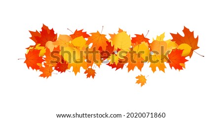 Pile of fallen leaves. Decorative line of orange, yellow and red autumn leaves.