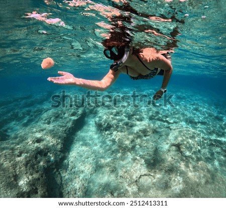 Similar – Image, Stock Photo Blue lagoon with turquoise water