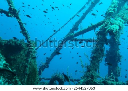 Similar – Image, Stock Photo Shipwreck in the water of the Spree