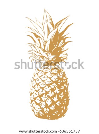 Download Pineapple Outline Drawing At Getdrawings Free Download