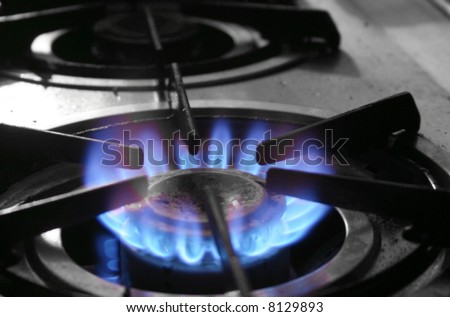 The blue flames of a gas powered stove top symbolize energy used for household purposes