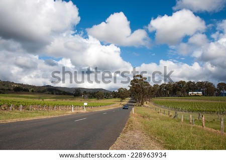 quiet road through winery in blue sky day with white cloud, hunter valley,NSW, Australia