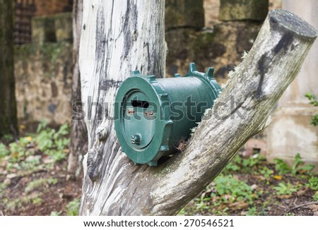 Green metal mail/letter box on tree trunk in rural area