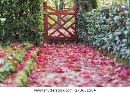 Red door entry to autumn tree garden with fallen leaves covering path