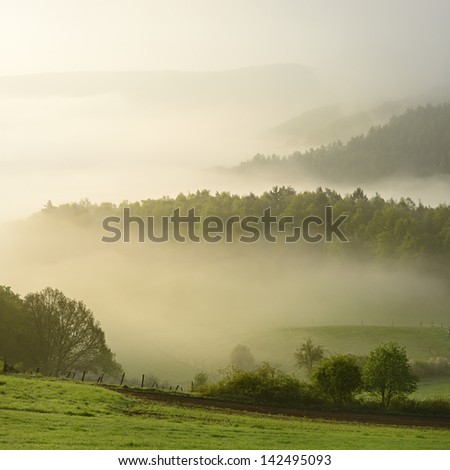 Fog Rising from Forest Covered Hills at Sunrise, Kellerwald-Edersee National Park, Germany, square made from 2 D800 images