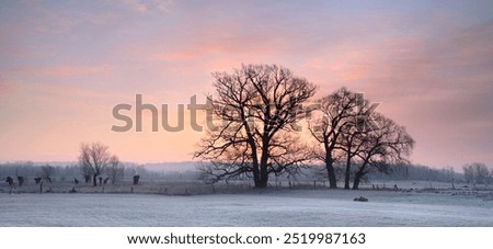 Similar – Foto Bild Frost auf einem Eichenblatt