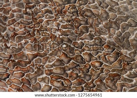 Texture of abstract formation of mineral stone, traverten Stok fotoğraf © 