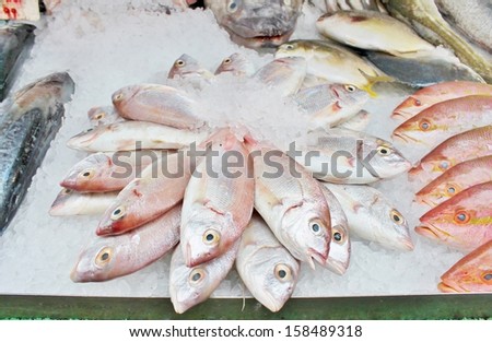 Fishmonger with circle display of various whole fish on crushed ice