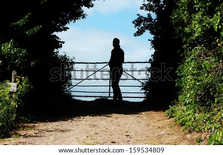 Trees and bushes around path to silhouette of man by farm country gate looking at view