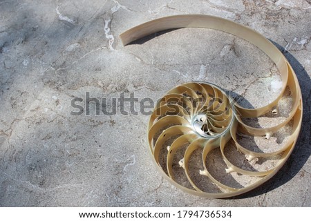 Shutterstock Puzzlepix Shutterstock Puzzlepix